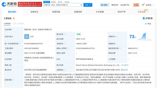 螞蟻數科在武漢成立信息技術公司，深化技術咨詢布局